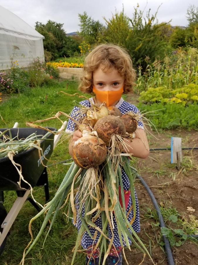 A girl in a mask holds a bundle of root vegetables in a garden